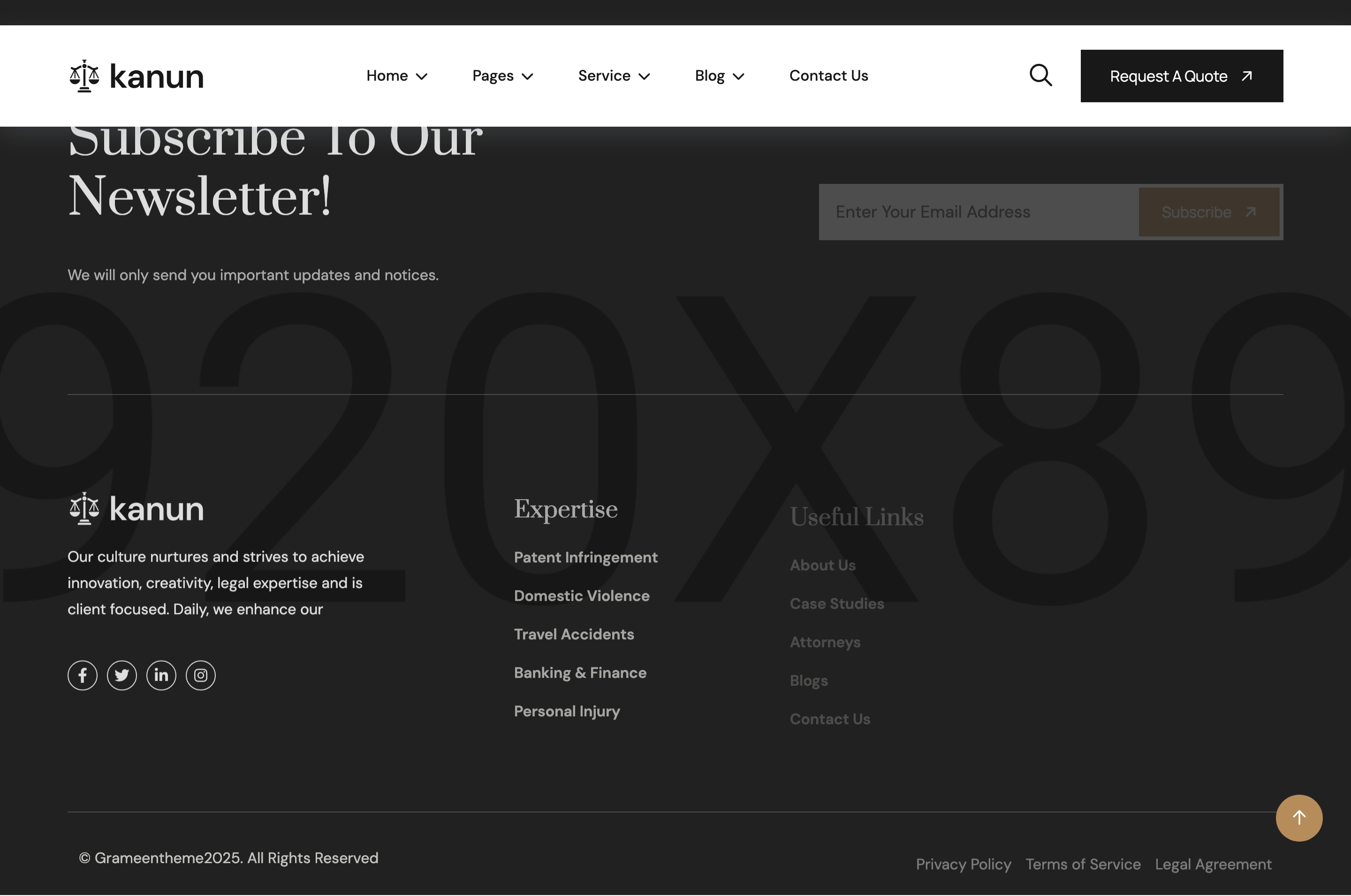 footer-newsletter